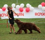 Превью фото № 104680