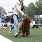 Превью фото № 104868