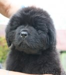 Превью фото № 104937