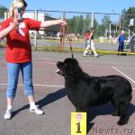 Превью фото № 10529