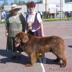 Превью фото № 10534