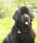 Превью фото № 105491