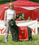 Превью фото № 10564