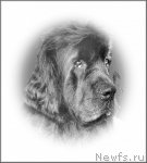 Превью фото № 106131