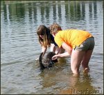 Превью фото № 106133