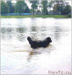 Превью фото № 106210