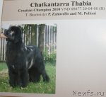 Превью фото № 106331