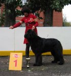 Превью фото № 106468