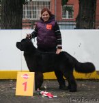 Превью фото № 106522