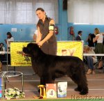 Превью фото № 106727