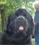 Превью фото № 106853