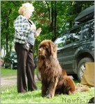 Превью фото № 107132