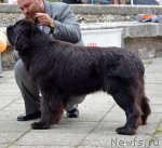 Превью фото № 107246