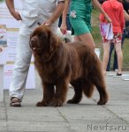 Превью фото № 107248