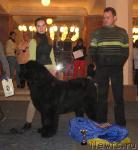 Превью фото № 10742