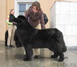 Превью фото № 10744