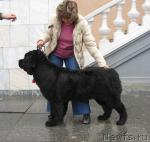 Превью фото № 10765