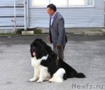 Превью фото № 107871