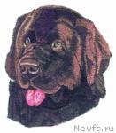 Превью фото № 10789