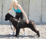 Превью фото № 108249