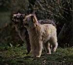 Превью фото № 10876