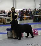 Превью фото № 110035