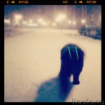 Превью фото № 110196