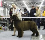 Превью фото № 110235