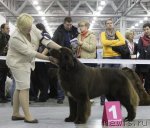 Превью фото № 110238