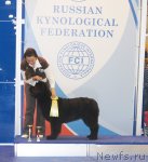 Превью фото № 110240