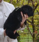 Превью фото № 110247