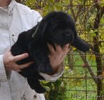 Превью фото № 110248