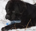 Превью фото № 110274