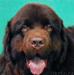 Превью фото № 11029