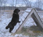 Превью фото № 110922