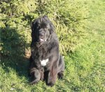 Превью фото № 111481