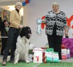 Превью фото № 111544