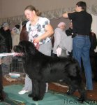 Превью фото № 111557