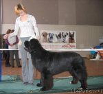 Превью фото № 111559