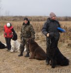 Превью фото № 111612