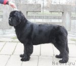 Превью фото № 111686