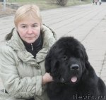 Превью фото № 111689