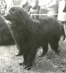 Превью фото № 1117