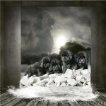 Превью фото № 111744