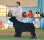 Превью фото № 111790