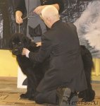 Превью фото № 111819