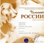 Превью фото № 111960