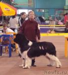 Превью фото № 11198