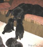 Превью фото № 112080