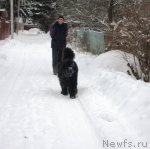 Превью фото № 112273